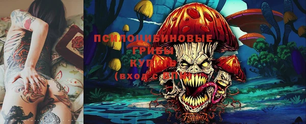 mdpv Арсеньев