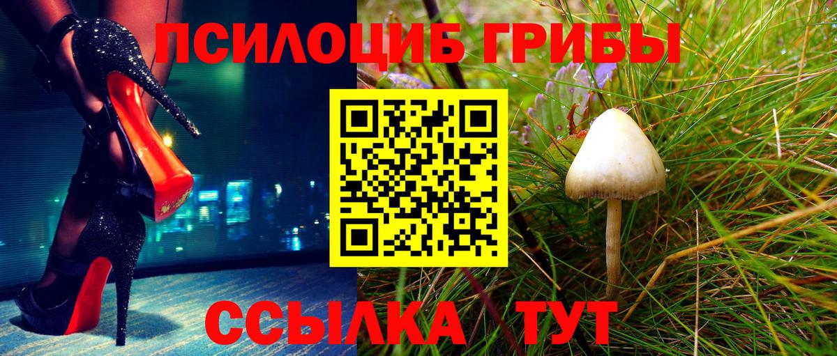 Галлюциногенные грибы MAGIC MUSHROOMS Чернушка